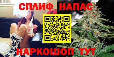 индика Апшеронск