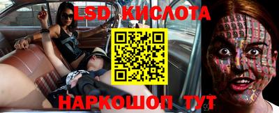 прущие крисы Аргун