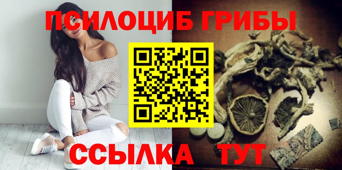 Псилоцибиновые грибы прущие грибы  Псилоцибиновые грибы Cubensis  Звенигород  Вход с VPN 
