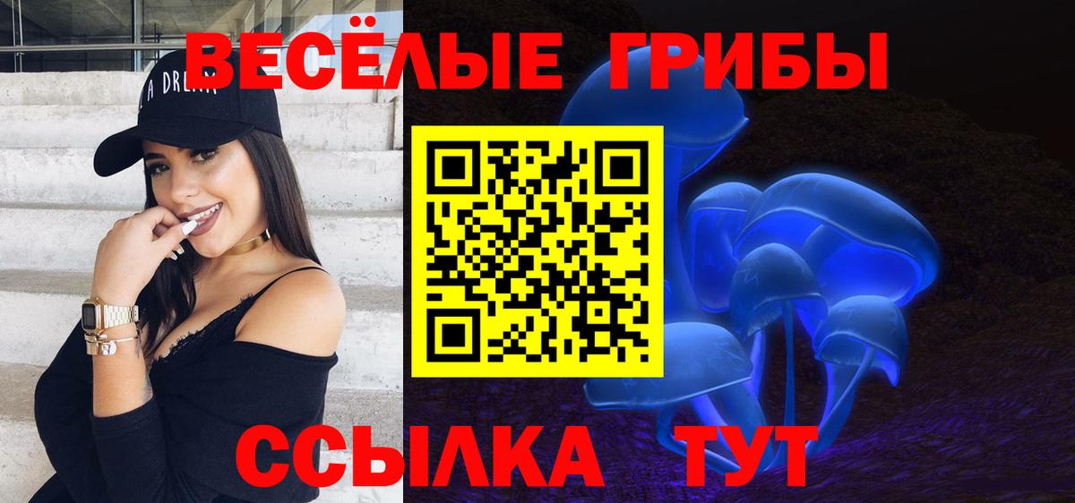 Галлюциногенные грибы Cubensis Звенигород
